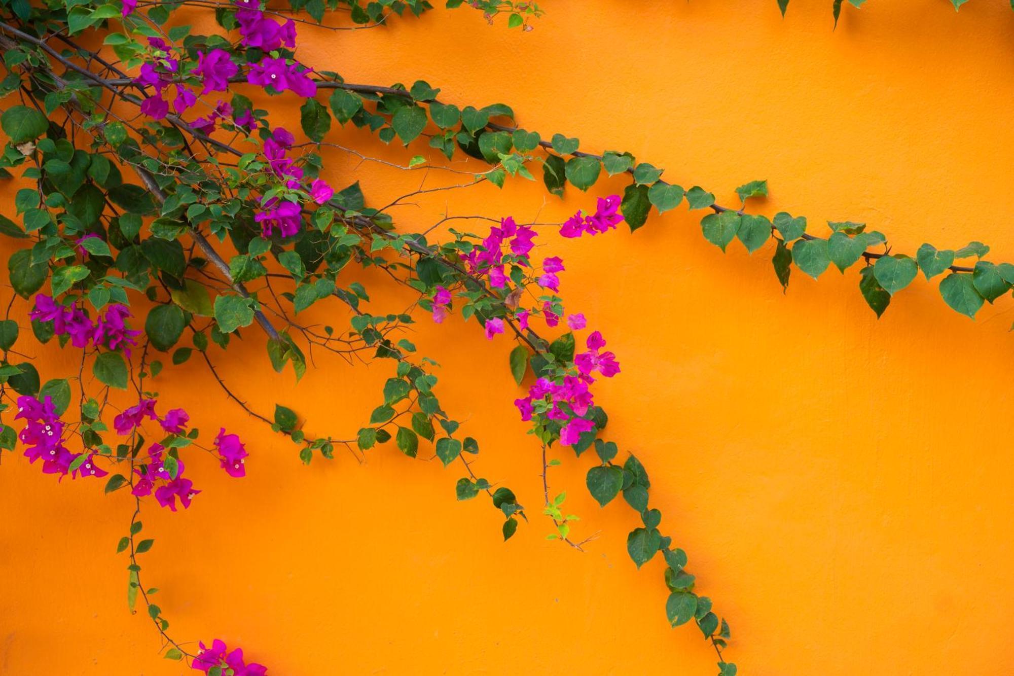 Rosa Garden Hotel Ninh Bình Kültér fotó