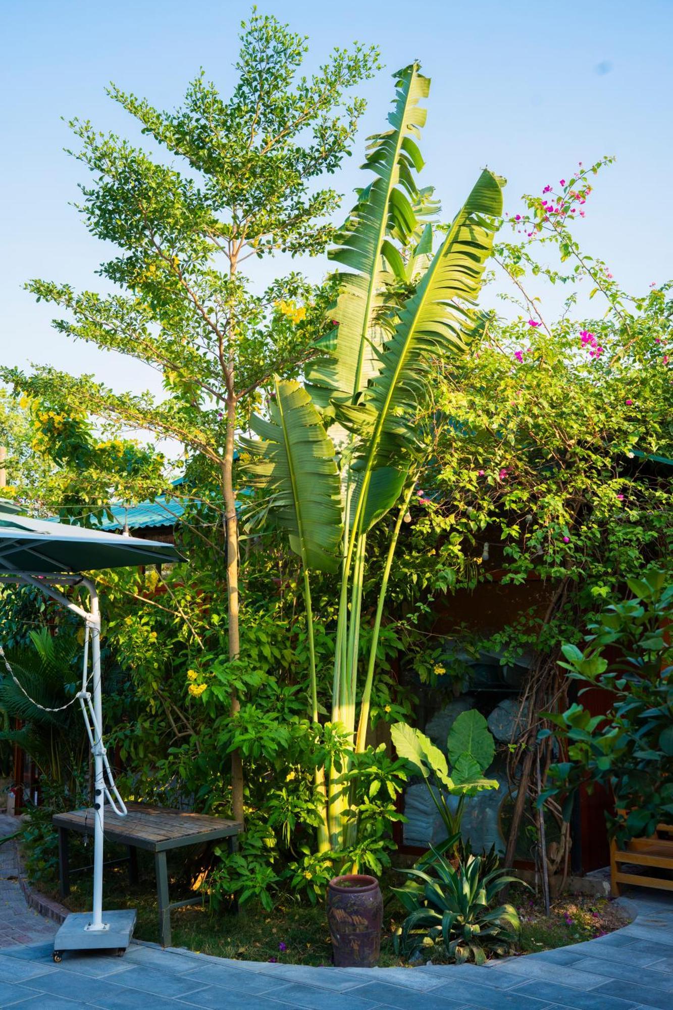 Rosa Garden Hotel Ninh Bình Kültér fotó