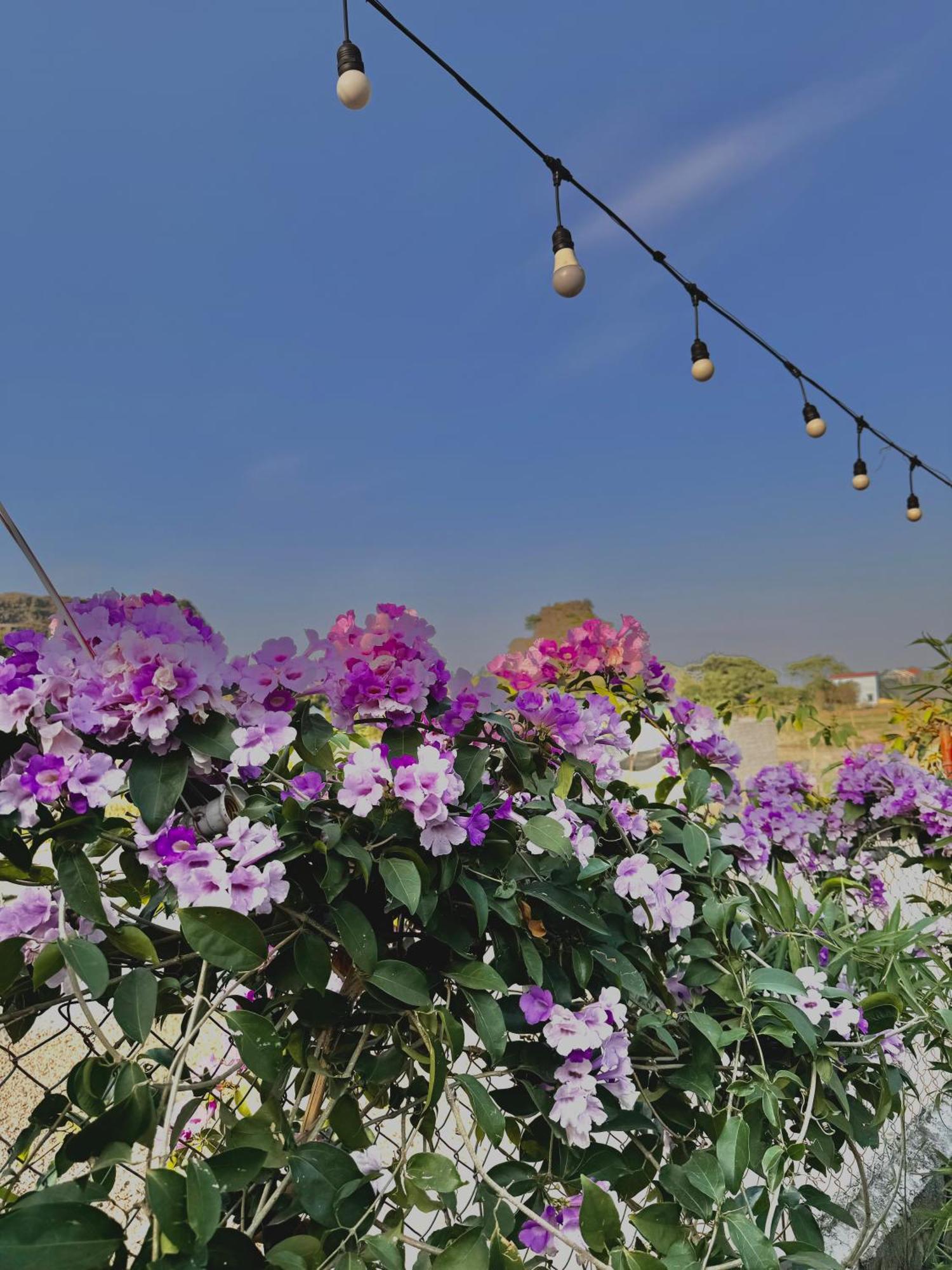 Rosa Garden Hotel Ninh Bình Kültér fotó
